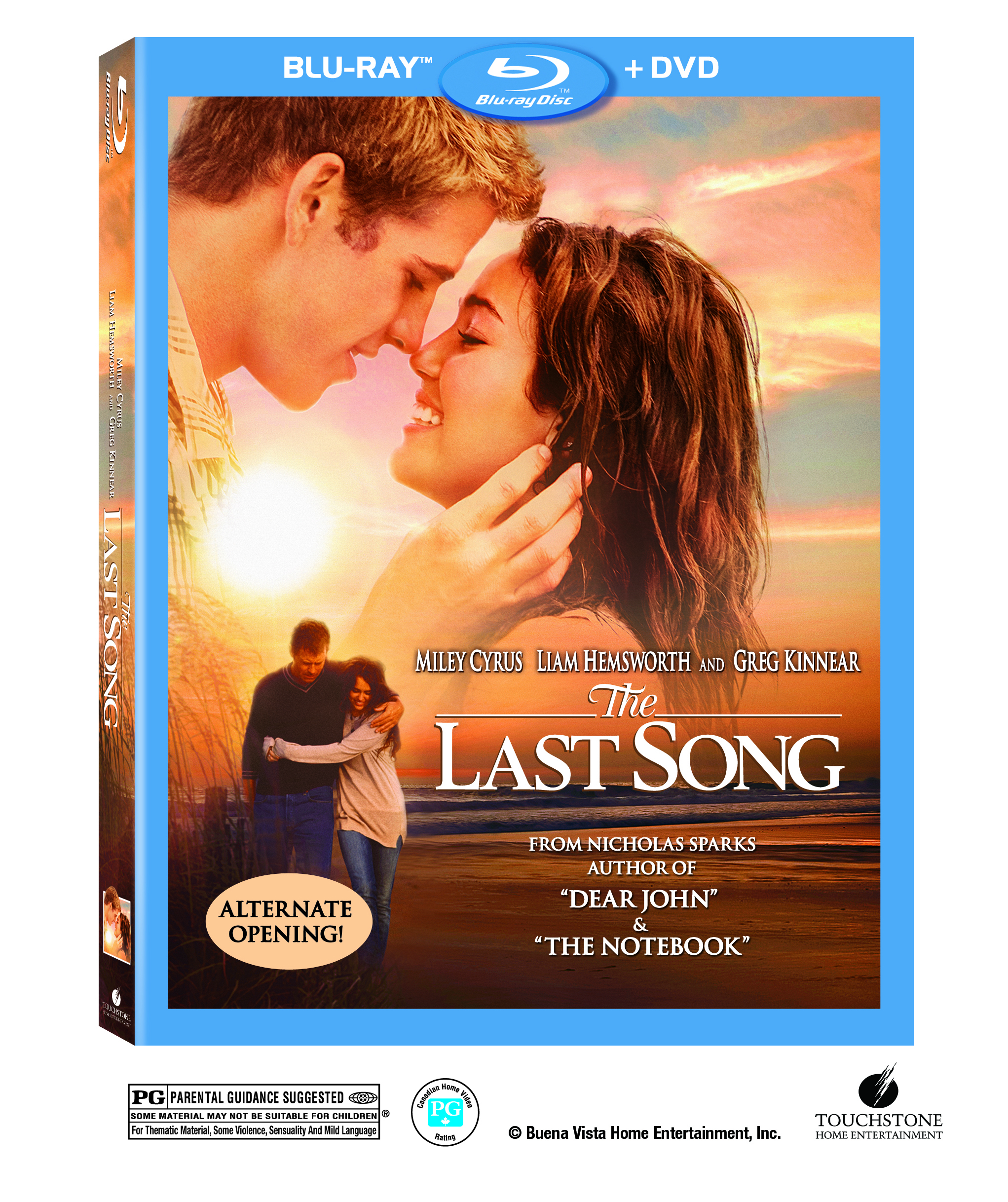 The Last Song image