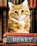 Dewey the Library Cat cover image
