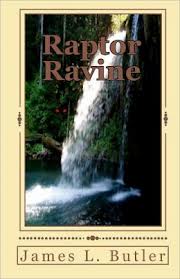 Raptor Ravine cover image