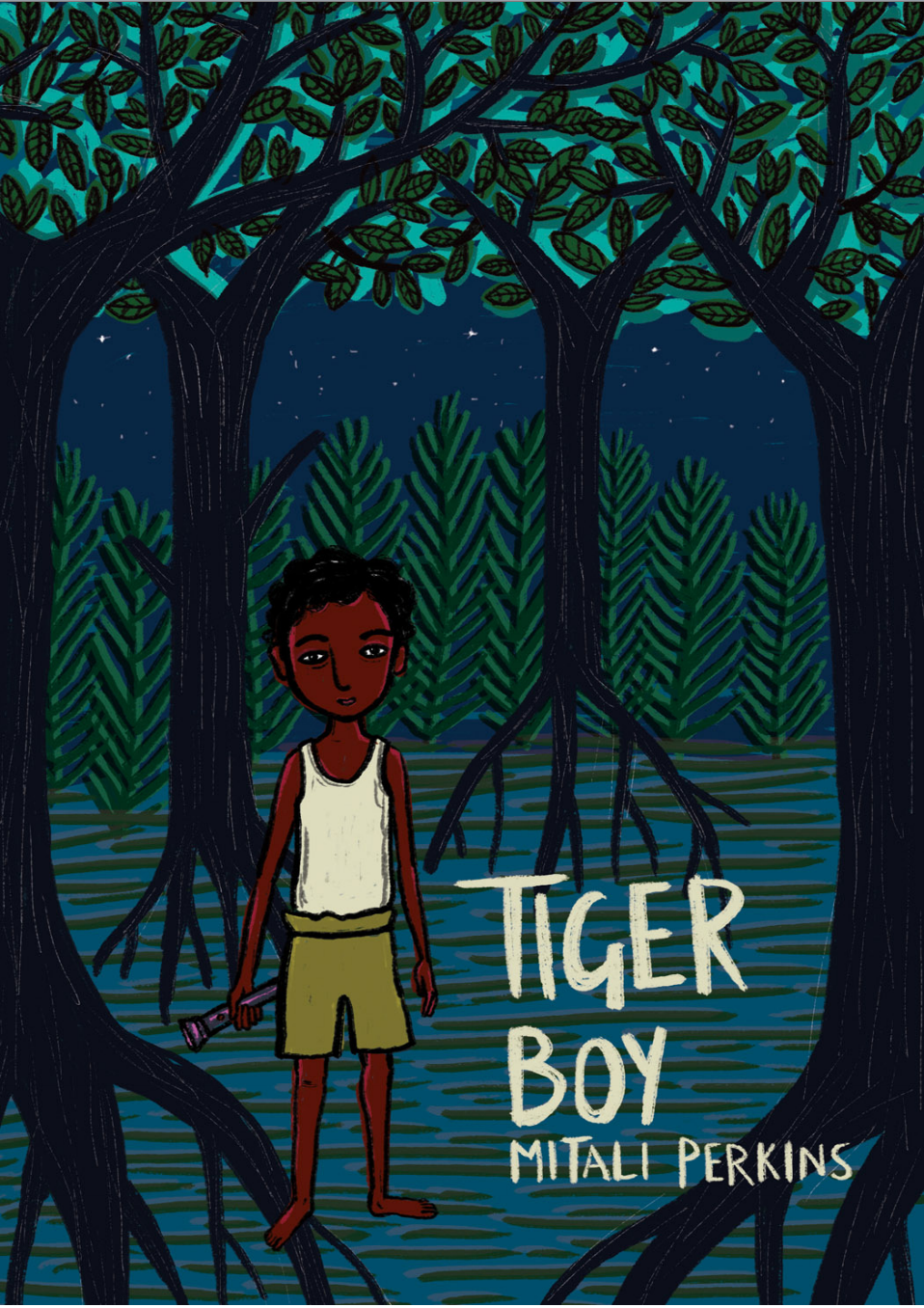 Tiger Boy cover image