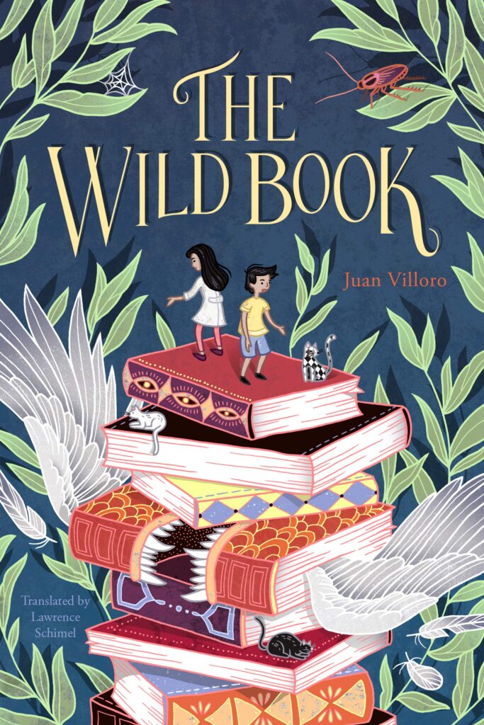 The Wild Book cover image