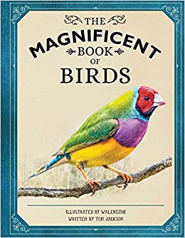 The Magnificent Book of Birds cover image
