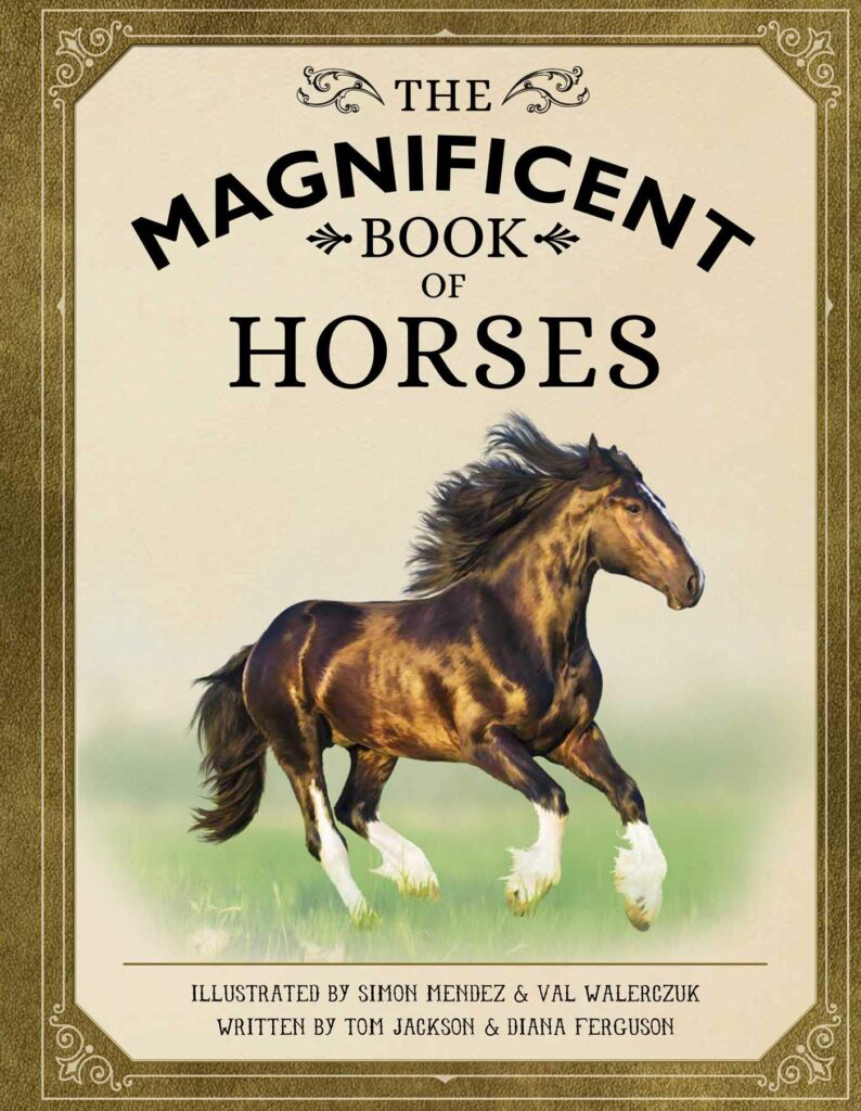 The Magnificent Book of Horses cover image